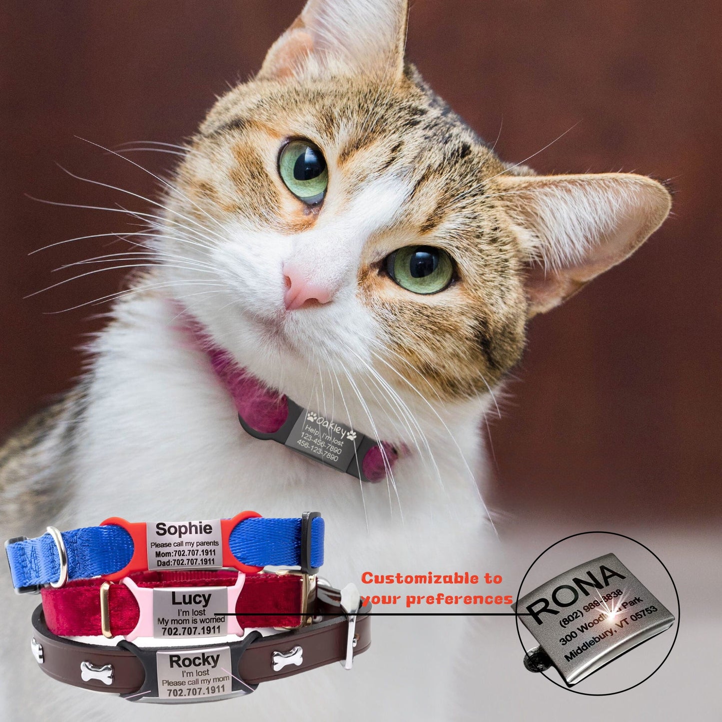 Customized Alloy & Silicone Pet Collar | PCustomized Alloy &amp; Silicone Pet Collar | Personalized Design for Every Furry Friendersonalized Design for Every Furry Friend