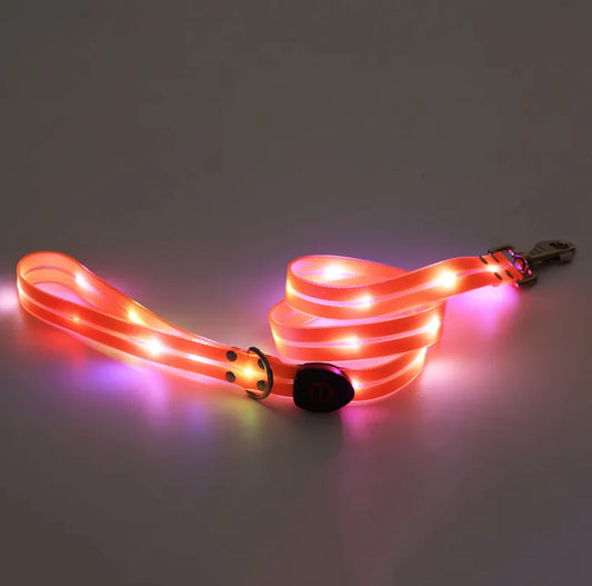 Rechargeable LED Pet Collar with Nylon Leash | Adjustable, Durable, and Safe for Night Walks