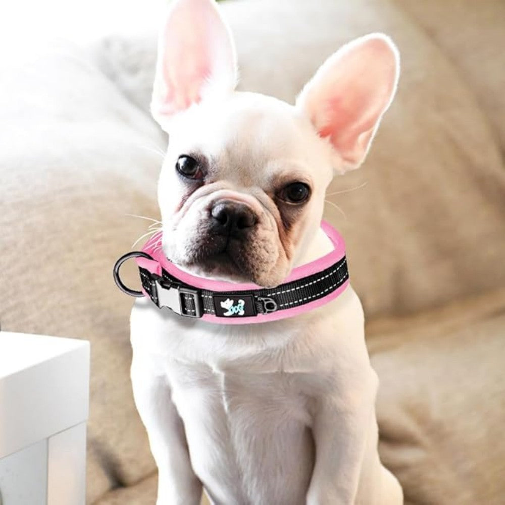 Reflective Nylon Personalized Dog Collar | Customizable Adjustable Pet Collar for Small, Medium, and Large Dogs