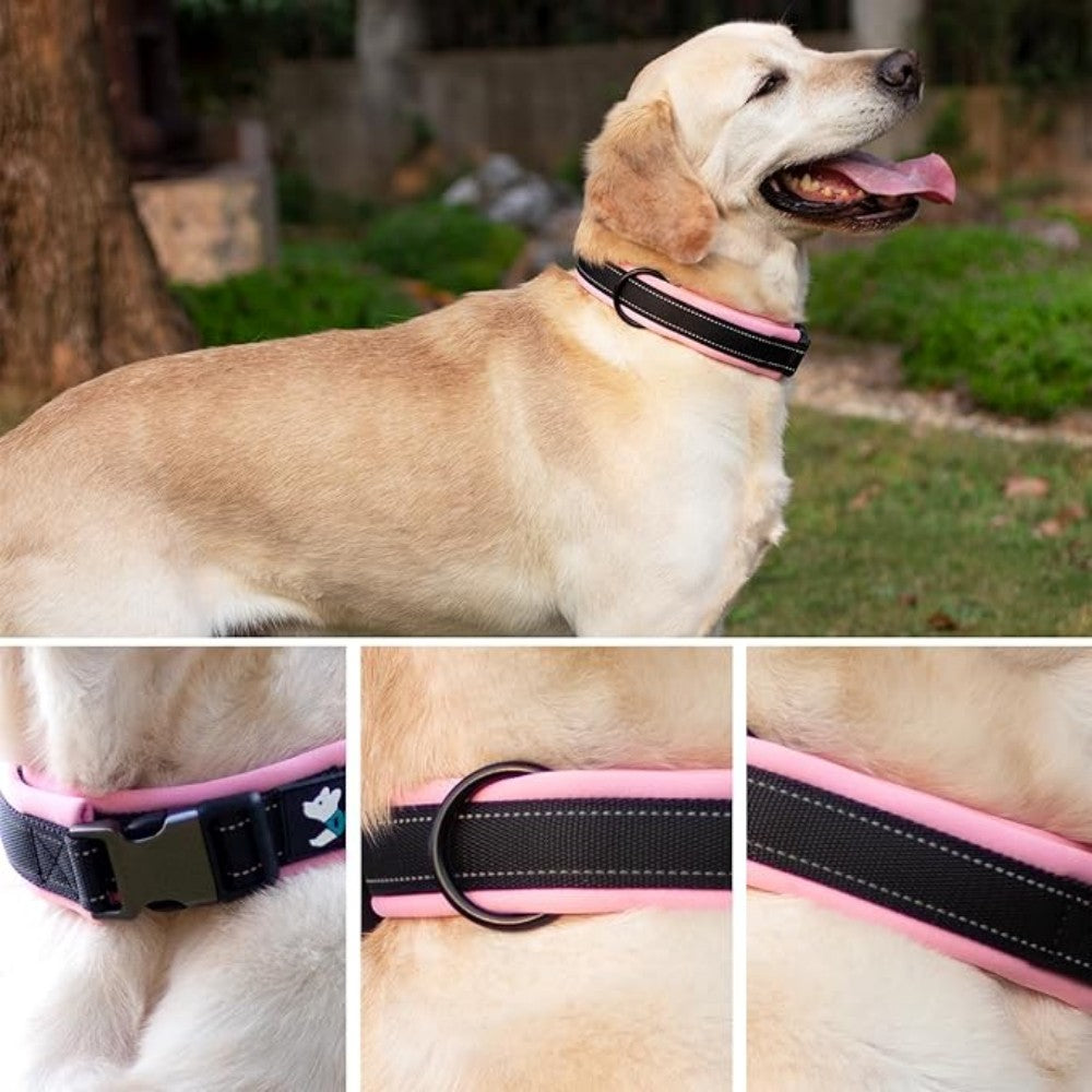 Reflective Nylon Personalized Dog Collar | Customizable Adjustable Pet Collar for Small, Medium, and Large Dogs