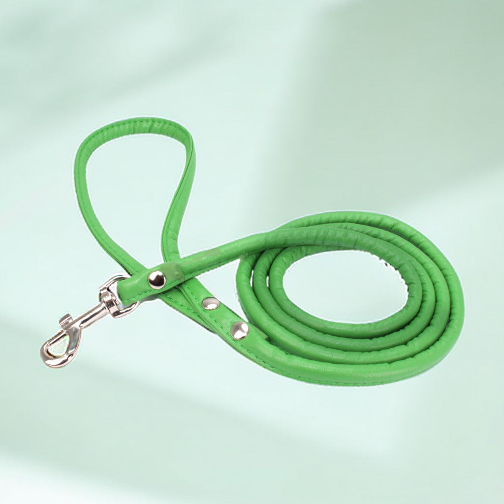 Sturdy Safety Dog Leash - Strong, Durable, and Comfortable