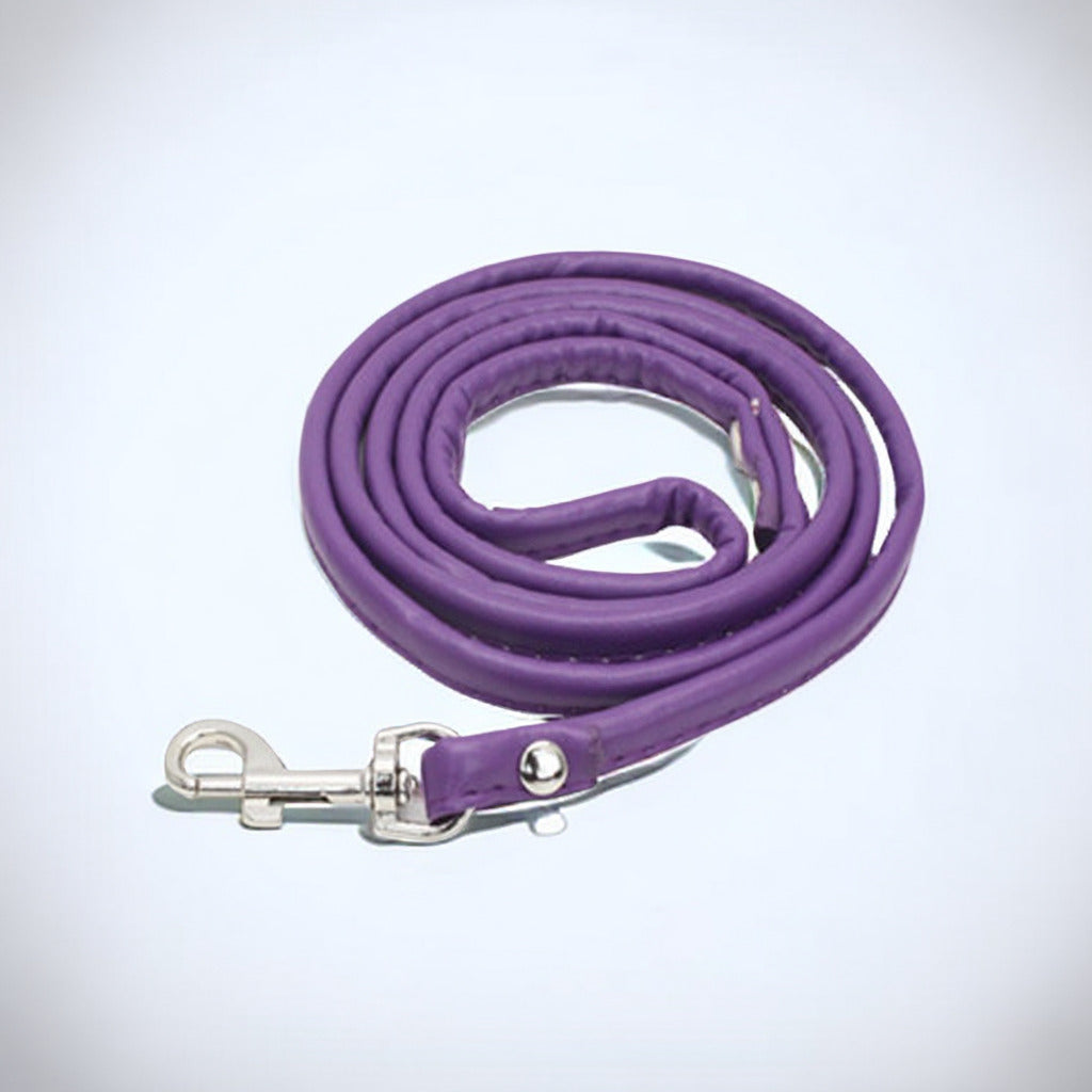 Sturdy Safety Dog Leash - Strong, Durable, and Comfortable