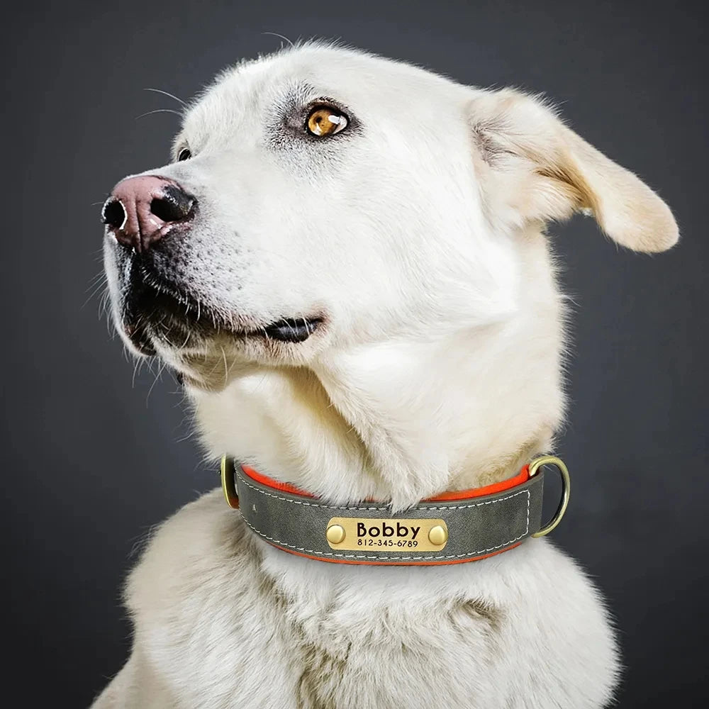 Custom PU Leather Pet Collar | Vintage Elegance with Soft Comfort