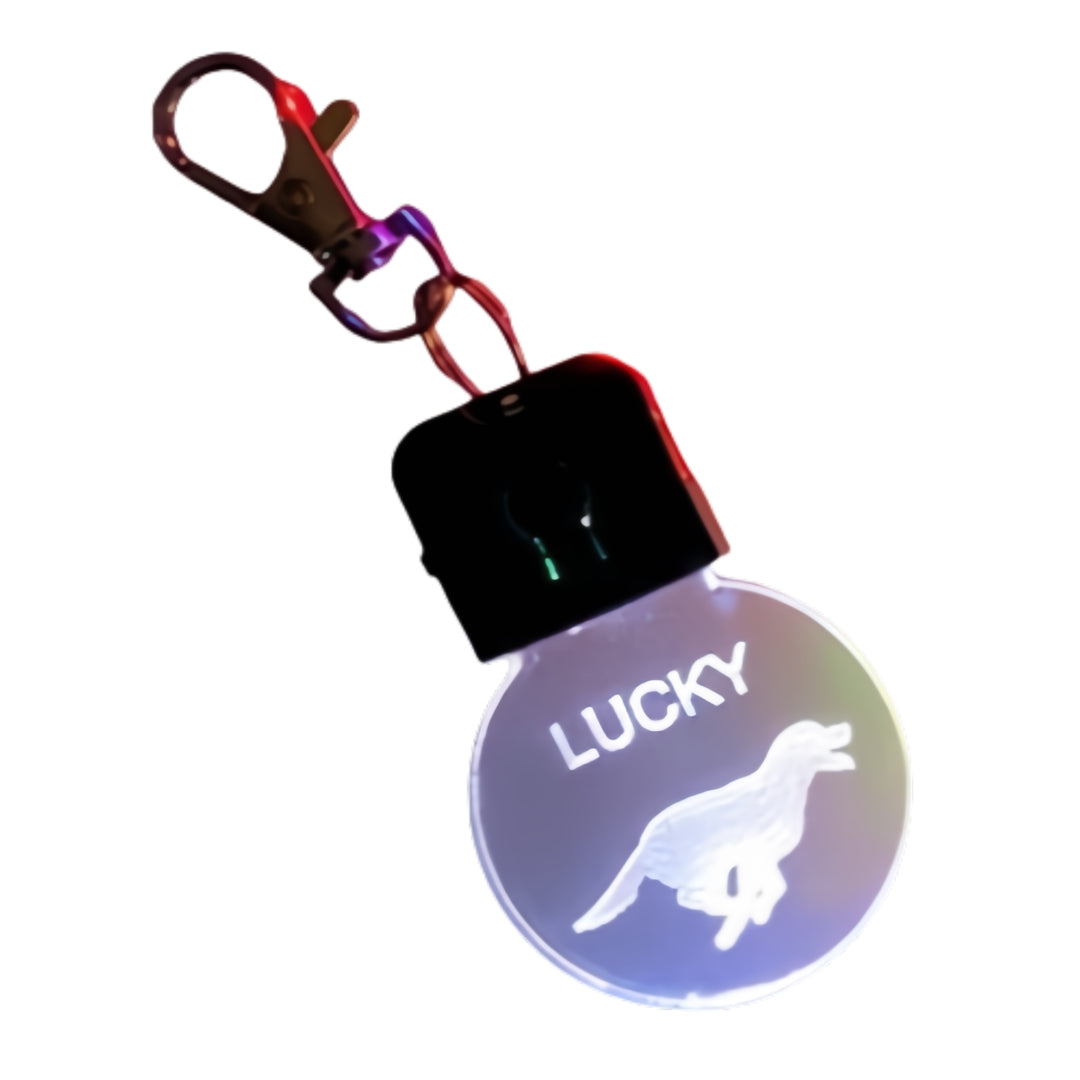 Glow Pet ID Tag | Personalized Night Safety with Customizable LED Design