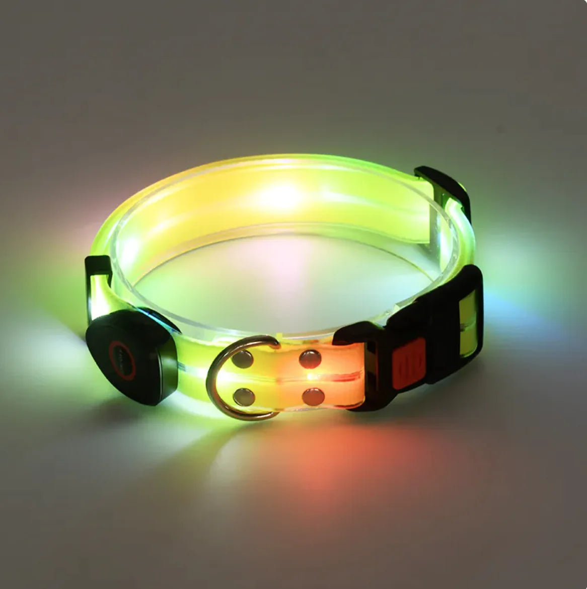 Rechargeable LED Pet Collar with Nylon Leash | Adjustable, Durable, and Safe for Night Walks